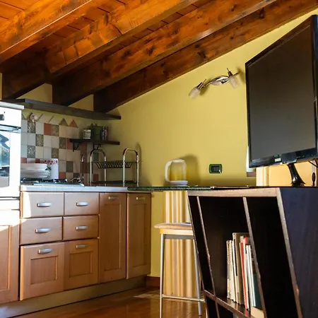公寓 Openspace Attic With Terrace, Wi-fi