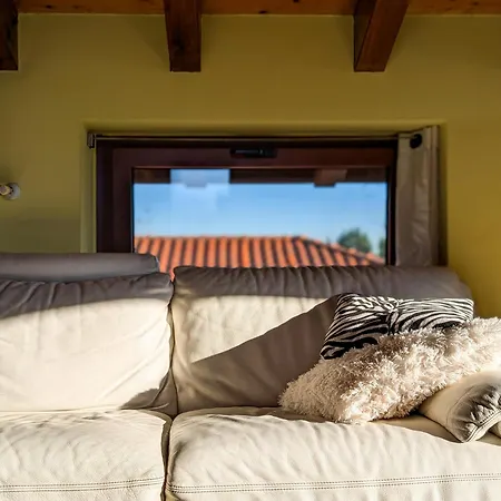 Openspace Attic With Terrace, Wi-fi Apartment